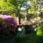 Casa Orisca بيت للعطل *