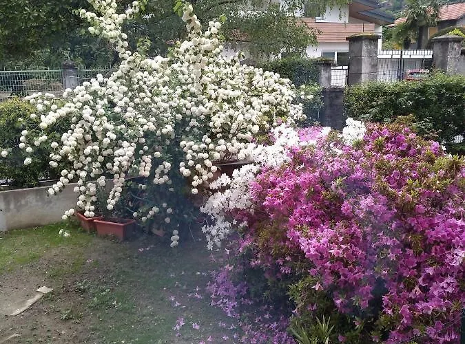 Holiday home Casa Orisca *